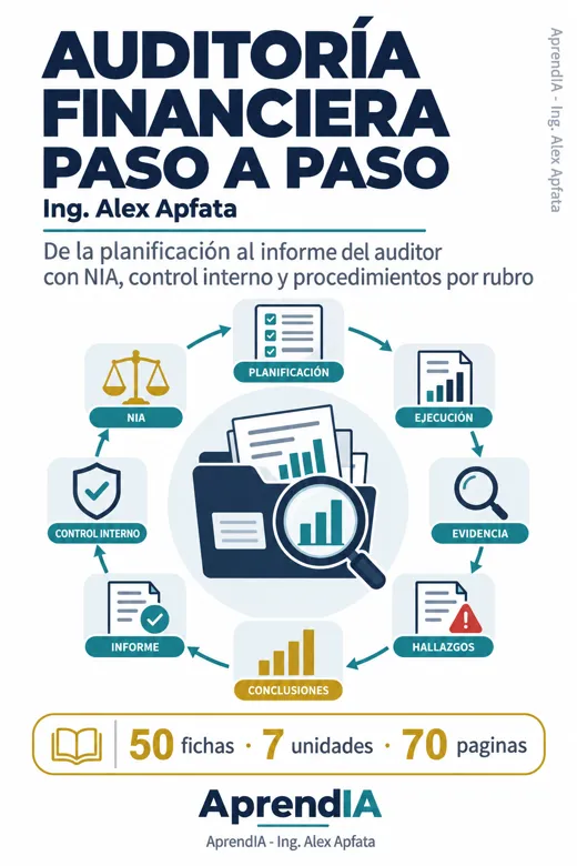 Auditoría Financiera Paso a Paso