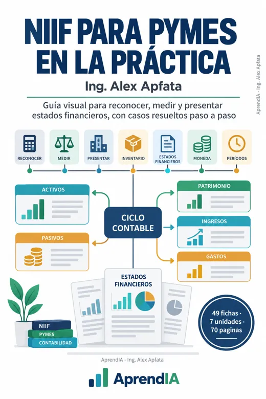 NIIF para Pymes en la Práctica